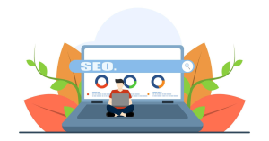 free seo tools for beginners without login guide